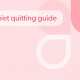 Quiet quitting guide