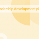 Leadership development plan template